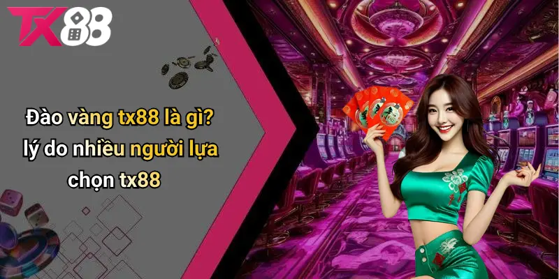 Đào vàng TX88 là gì? Lý do nhiều người lựa chọn TX88